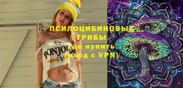 спиды Богородицк
