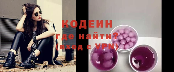 спиды Богородицк