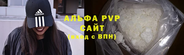 спиды Богородицк