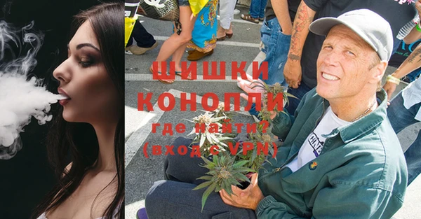 спиды Богородицк