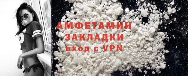 спиды Богородицк