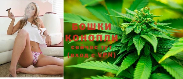спиды Богородицк