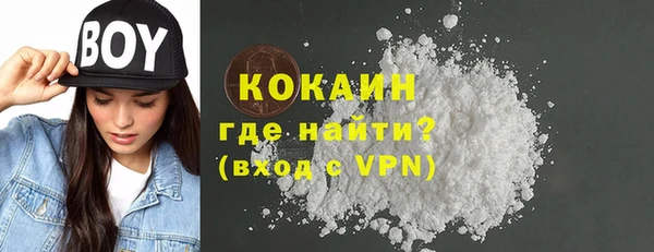 спиды Богородицк