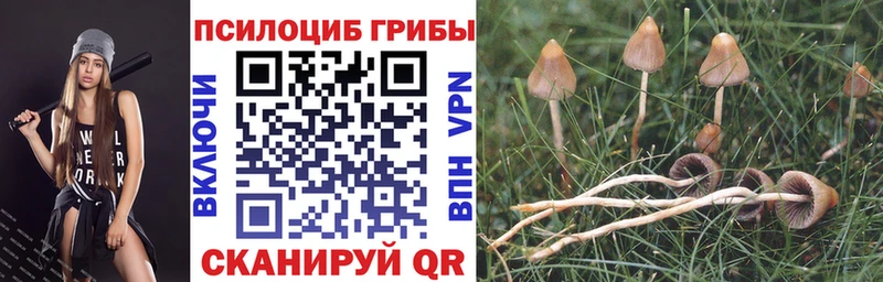 Псилоцибиновые грибы прущие грибы  Купить где  Малоархангельск 